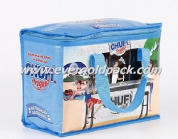 PP Non Woven Glossy Laminated Food Delivery Cooler Bag With Zipper Closure