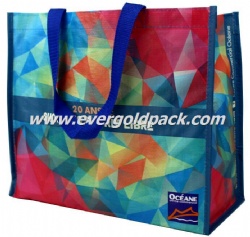 PP Non Woven Color Printed Laminated Shopping Bag