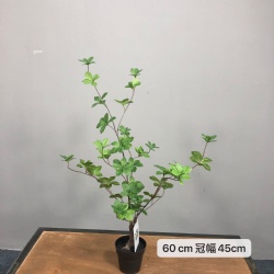 artificial tree/Fuchsia/bellflower tree